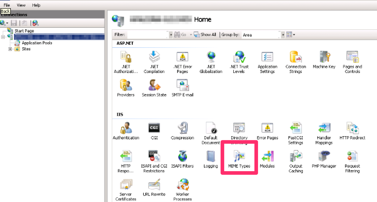 IIS: MIME types configuration in IIS Manager