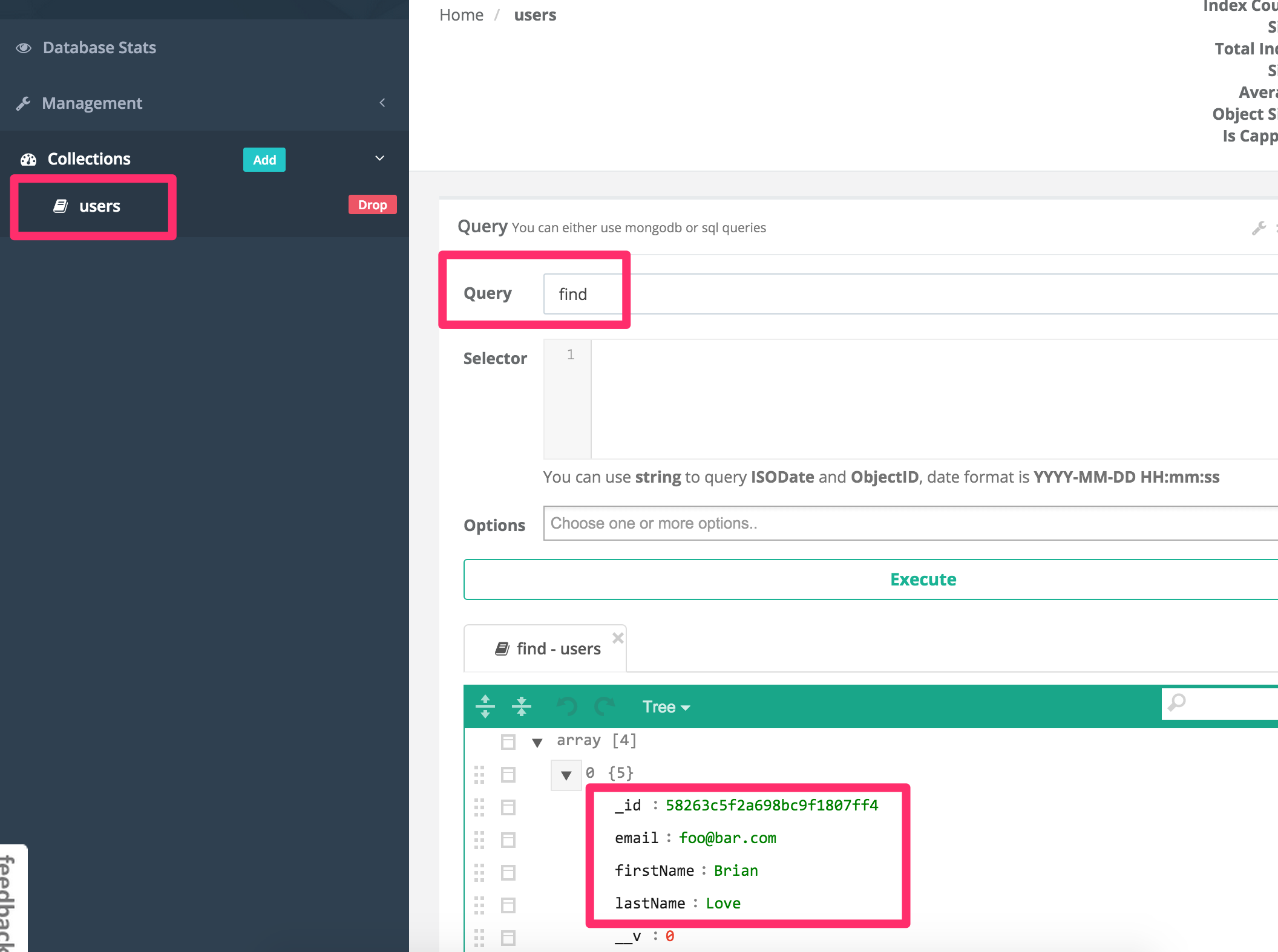 Screen shot of Mongoclient showing users collection with the user document created from the test.